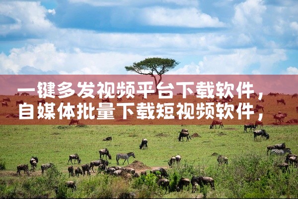 迅雷是帮助用户下载东西用的。迅雷是迅雷公司开发的一款基于多资源超线程技术的下载软件，作为宽带时期的...,