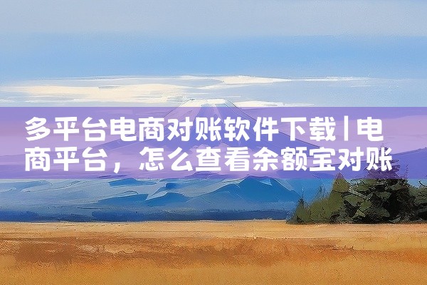 多平台电商对账软件下载