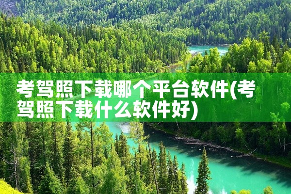 考驾照下载哪个平台软件