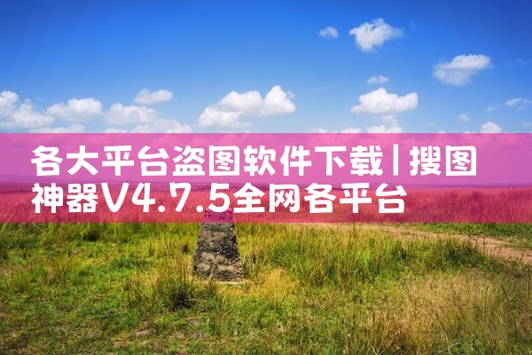 各大平台盗图软件下载