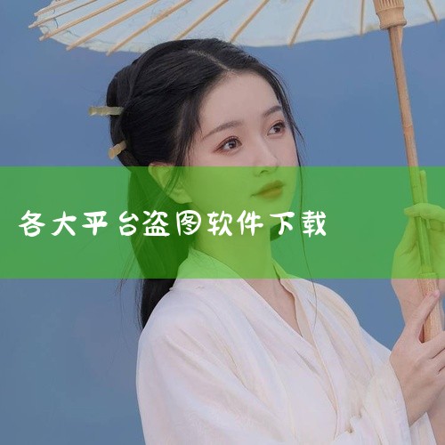 准备工作硬件：电脑。软件：在浏览器搜索并下载【网商图片下载工具】。平台：确保能正常访问POCO相册平台。|