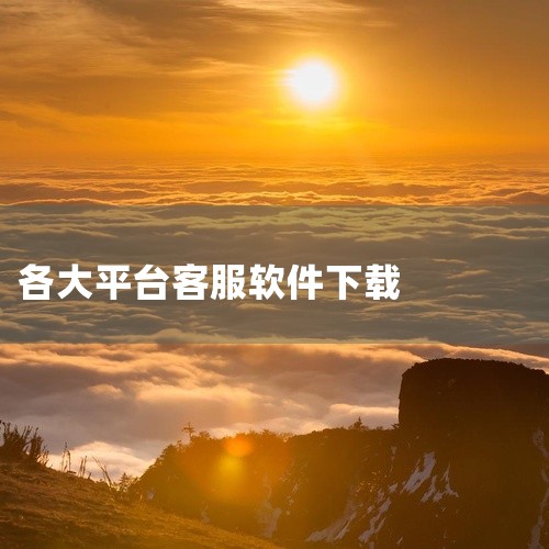 当家工匠平台客户电话客服版v1.0.0是一款实用应用软件,提供相关核心功能服务,界面设计简洁直观,操作流程清晰易上手。应用运行稳定,兼容性较好,支持基础功能的日常使用,可满足用户在对应场景下的功能需求,